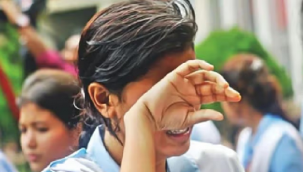 সএসসি ও সমমানের পরীক্ষার ফলাফল 